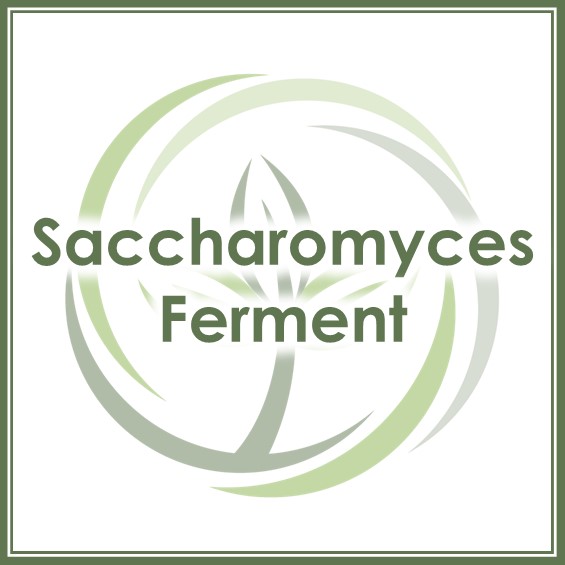 FSS Saccharomyces Ferment SF